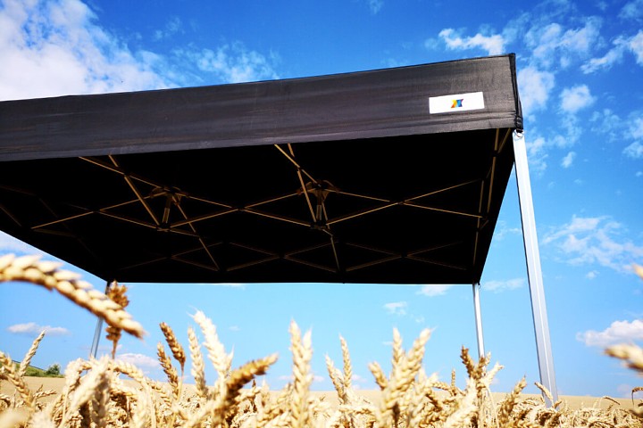 Foișor expoziție grădină 2x3 m